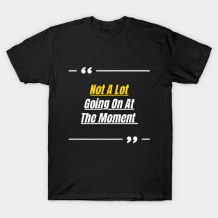 Great Funny Sarcastic Quote | Not a Lot Going on At the Moment | Moment Funny Vintage Distressed T-Shirt